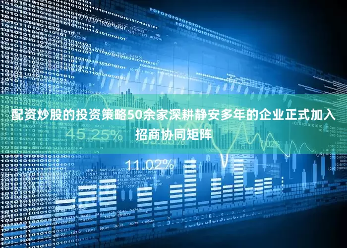 配资炒股的投资策略50余家深耕静安多年的企业正式加入招商协同矩阵