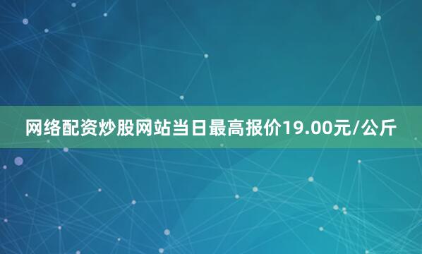 网络配资炒股网站当日最高报价19.00元/公斤