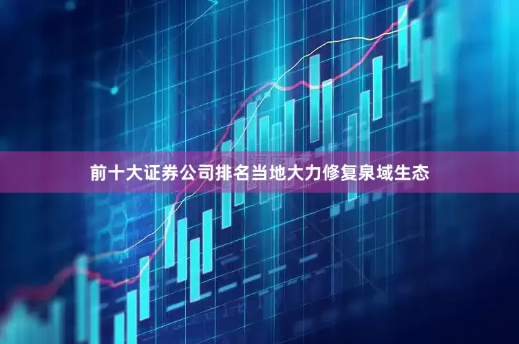 前十大证券公司排名当地大力修复泉域生态