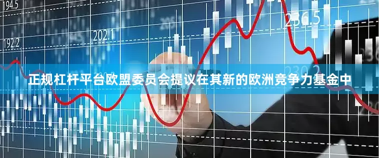 正规杠杆平台欧盟委员会提议在其新的欧洲竞争力基金中