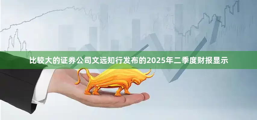 比较大的证券公司文远知行发布的2025年二季度财报显示