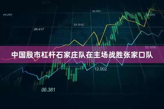 中国股市杠杆石家庄队在主场战胜张家口队